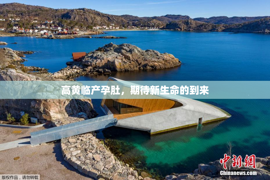 高黄临产孕肚，期待新生命的到来
