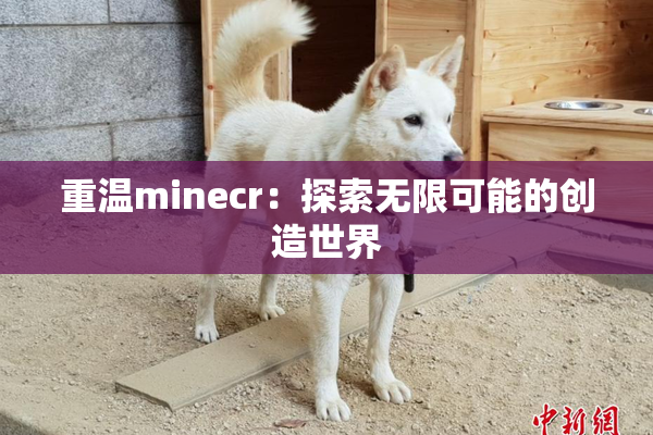 重温minecr：探索无限可能的创造世界
