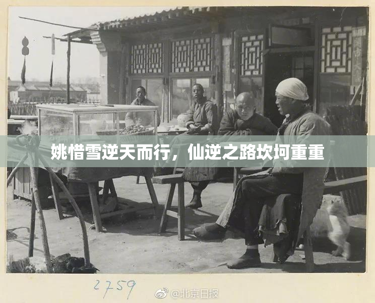 姚惜雪逆天而行，仙逆之路坎坷重重