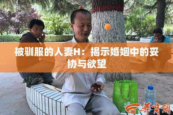 被驯服的人妻H：揭示婚姻中的妥协与欲望