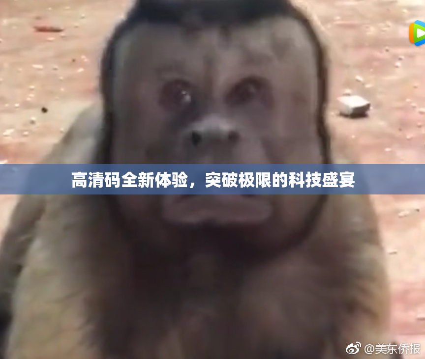 高清码全新体验，突破极限的科技盛宴