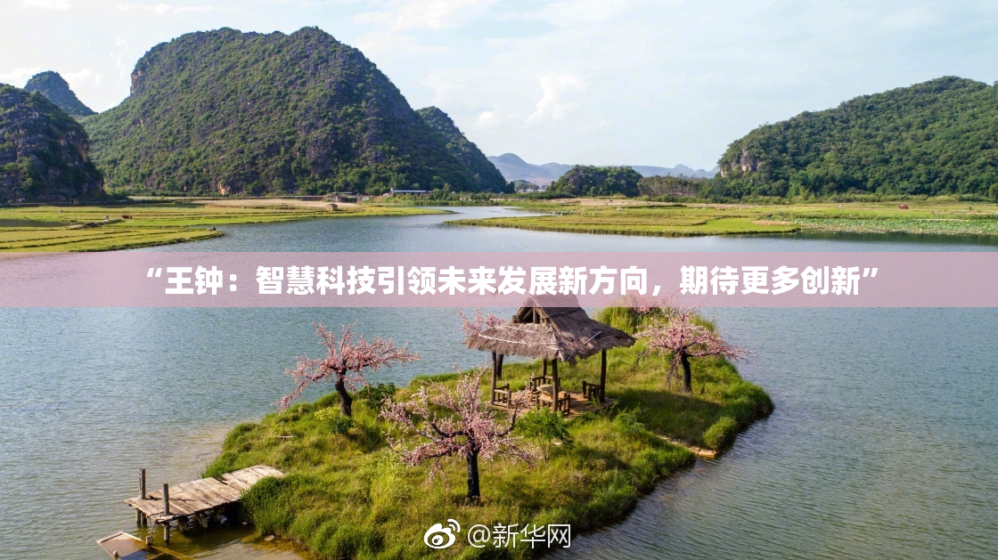 “王钟：智慧科技引领未来发展新方向，期待更多创新”