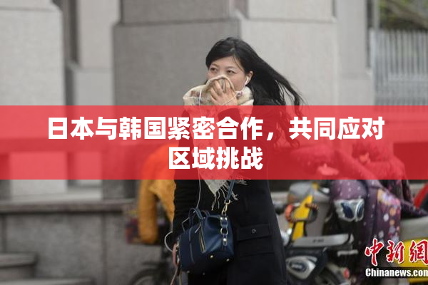 日本与韩国紧密合作，共同应对区域挑战