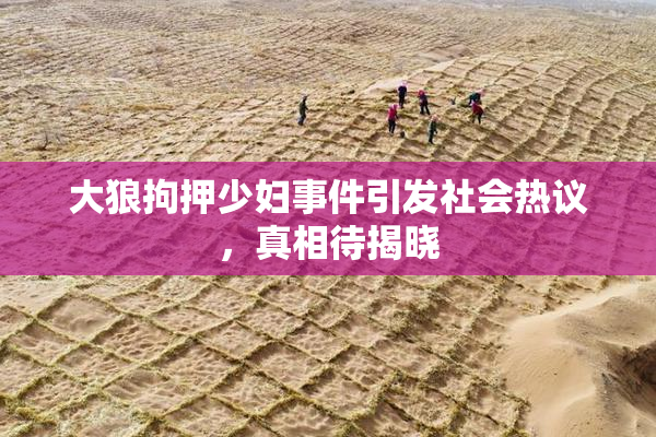 大狼拘押少妇事件引发社会热议，真相待揭晓
