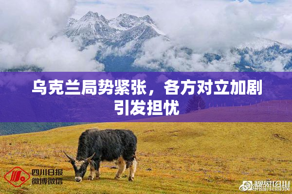 乌克兰局势紧张，各方对立加剧引发担忧