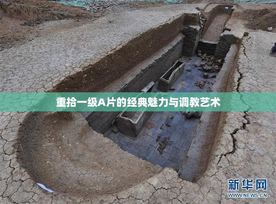 重拾一级A片的经典魅力与调教艺术