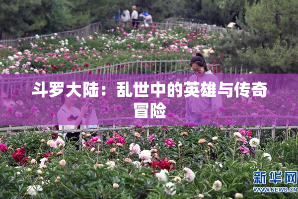 斗罗大陆：乱世中的英雄与传奇冒险