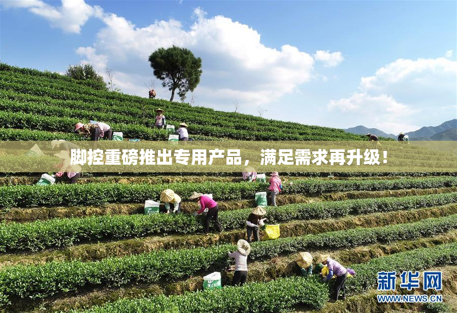 脚控重磅推出专用产品，满足需求再升级！