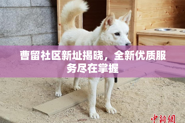 曹留社区新址揭晓，全新优质服务尽在掌握