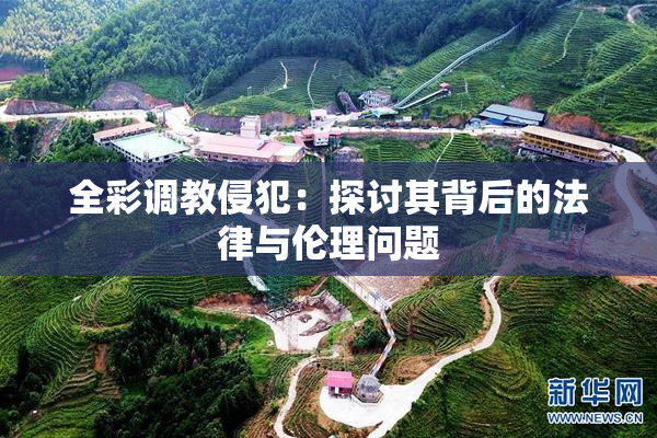 全彩调教侵犯：探讨其背后的法律与伦理问题