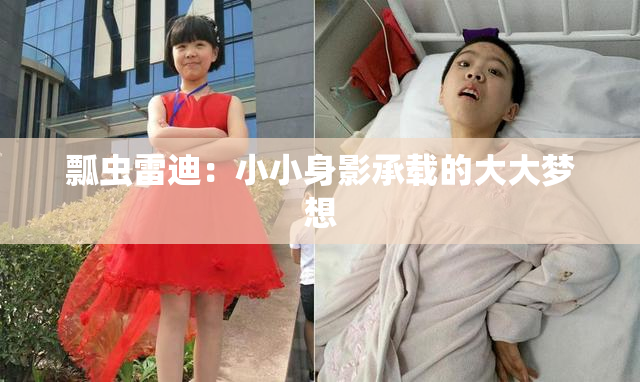 瓢虫雷迪：小小身影承载的大大梦想