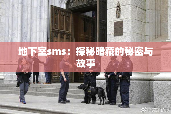 地下室sms：探秘暗藏的秘密与故事