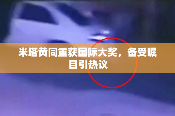米塔黄同重获国际大奖，备受瞩目引热议