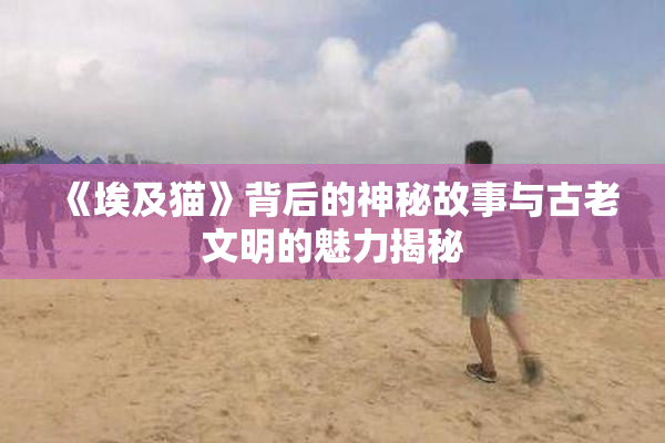 《埃及猫》背后的神秘故事与古老文明的魅力揭秘