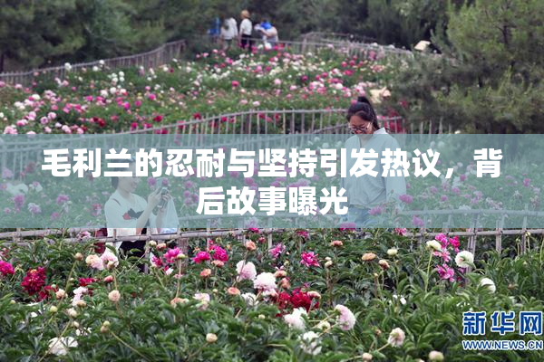 毛利兰的忍耐与坚持引发热议，背后故事曝光