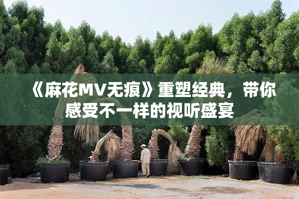 《麻花MV无痕》重塑经典，带你感受不一样的视听盛宴