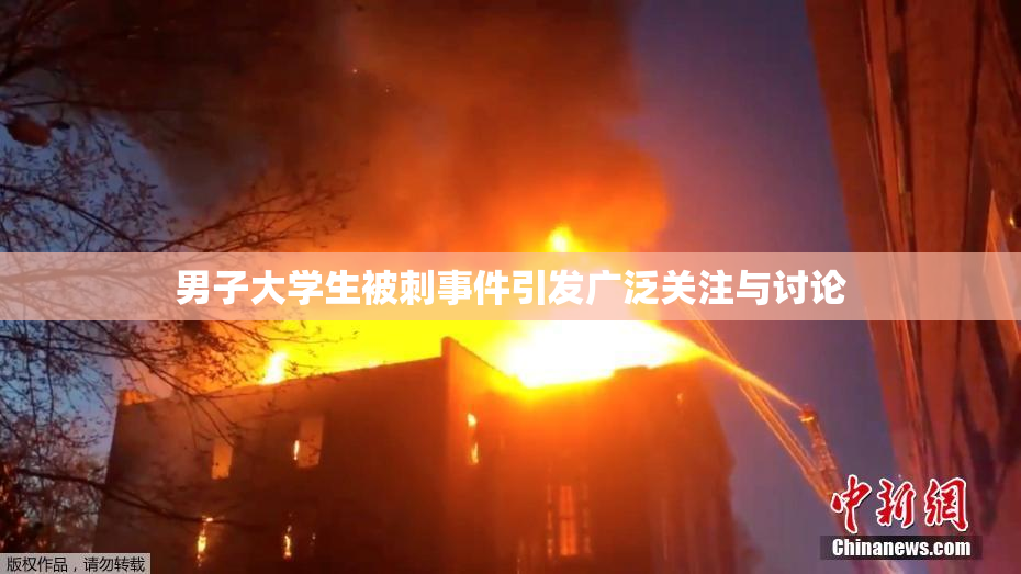 男子大学生被刺事件引发广泛关注与讨论