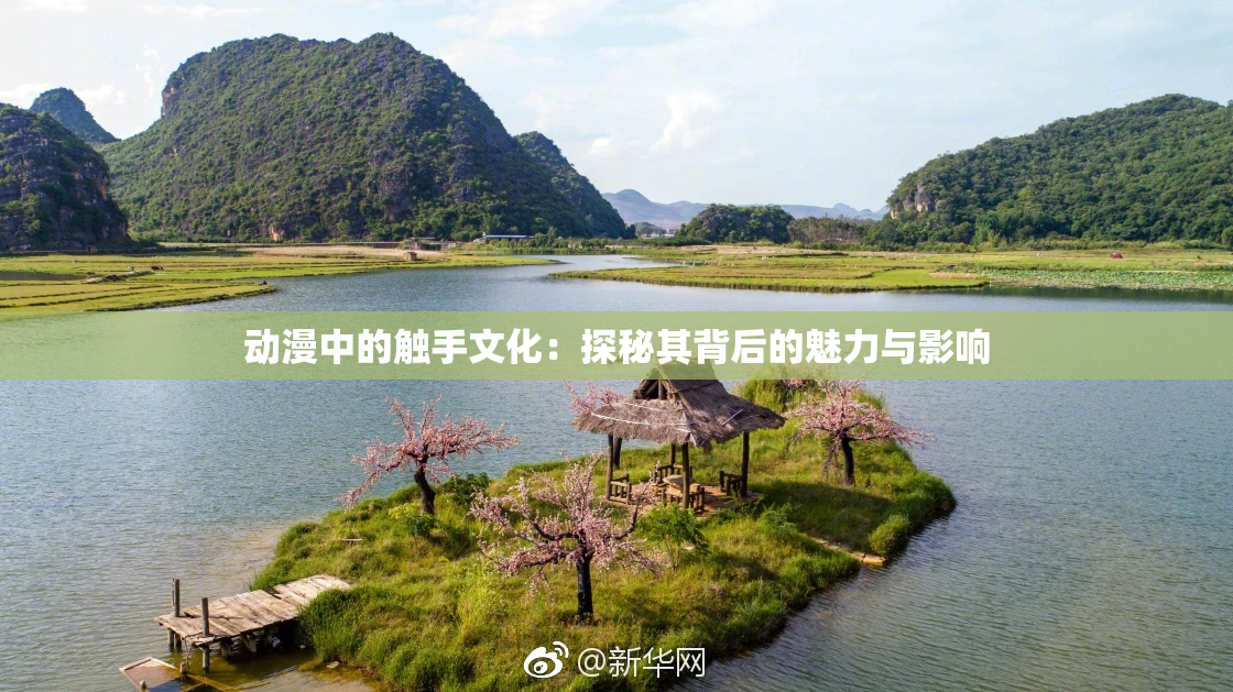 动漫中的触手文化：探秘其背后的魅力与影响