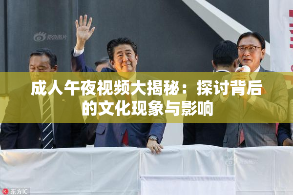 成人午夜视频大揭秘：探讨背后的文化现象与影响