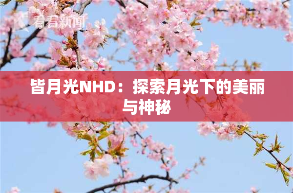 皆月光NHD：探索月光下的美丽与神秘