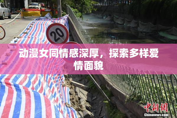 动漫女同情感深厚，探索多样爱情面貌