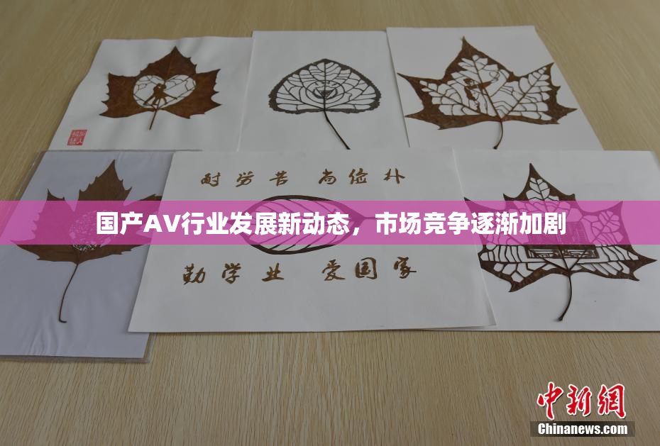 国产AV行业发展新动态，市场竞争逐渐加剧
