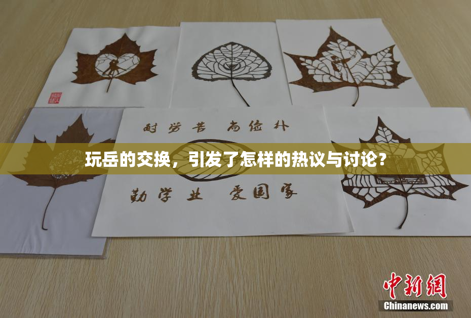 玩岳的交换，引发了怎样的热议与讨论？