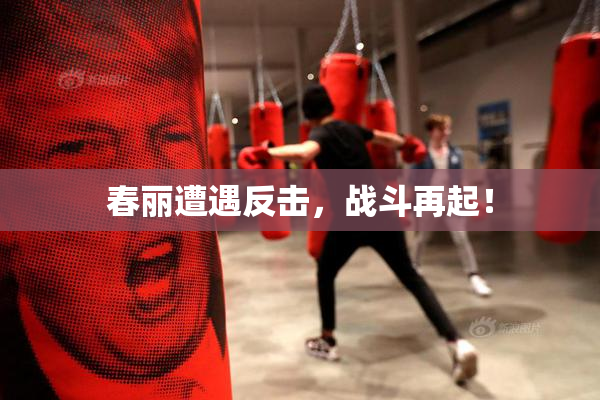 春丽遭遇反击，战斗再起！