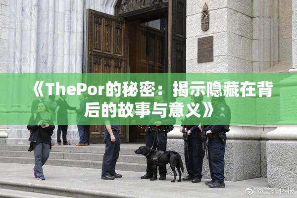《ThePor的秘密：揭示隐藏在背后的故事与意义》