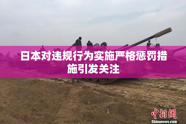 日本对违规行为实施严格惩罚措施引发关注