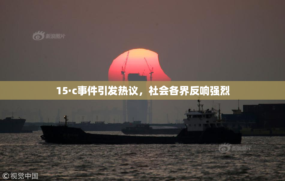 15·c事件引发热议，社会各界反响强烈