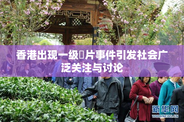 香港出现一级婬片事件引发社会广泛关注与讨论