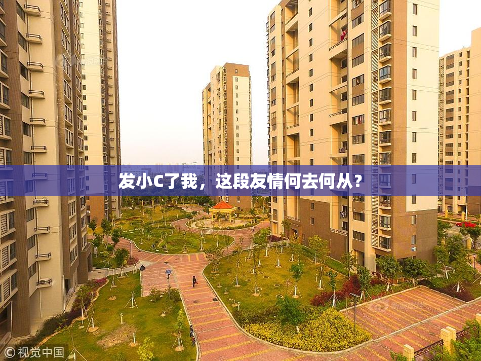 发小C了我，这段友情何去何从？