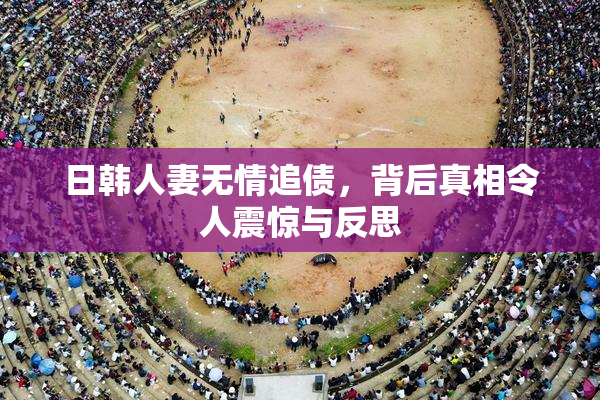 日韩人妻无情追债，背后真相令人震惊与反思