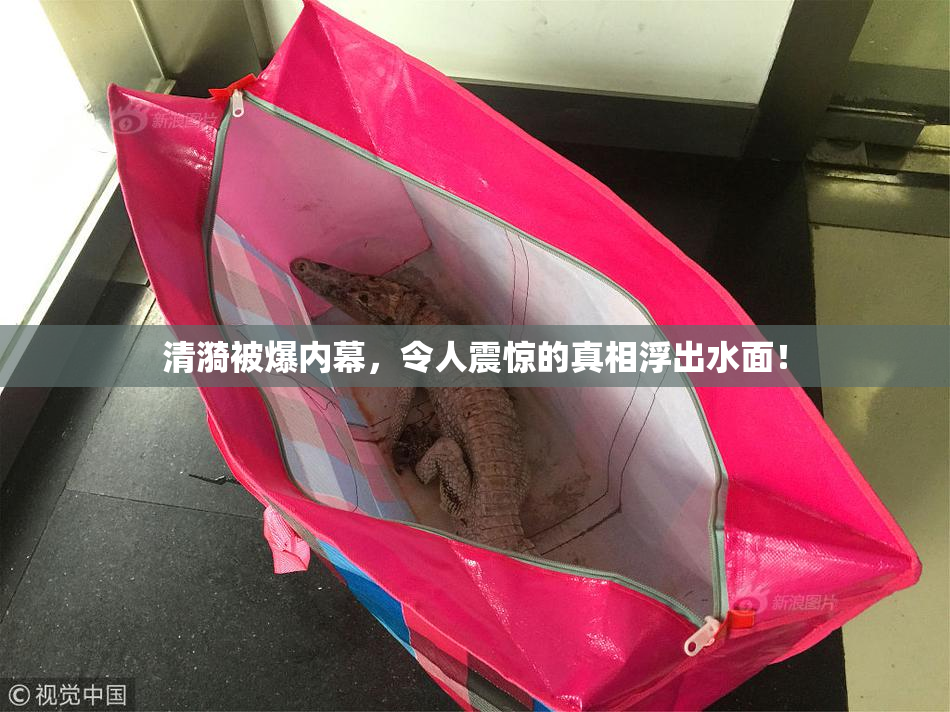 清漪被爆内幕，令人震惊的真相浮出水面！