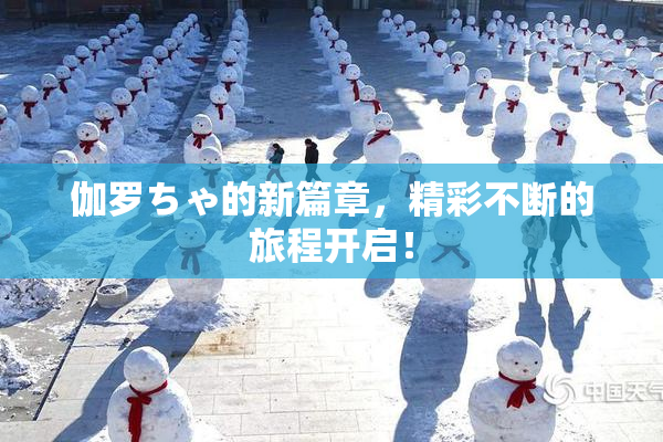 伽罗ちゃ的新篇章，精彩不断的旅程开启！