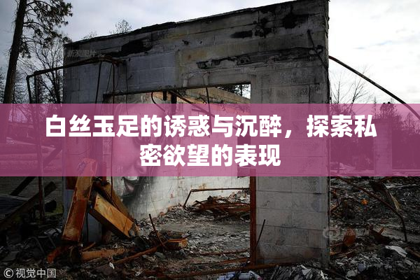 白丝玉足的诱惑与沉醉，探索私密欲望的表现