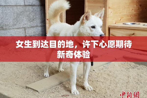 女生到达目的地，许下心愿期待新奇体验