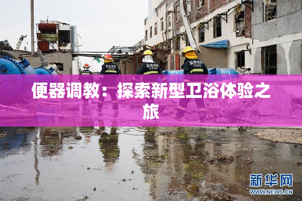 便器调教：探索新型卫浴体验之旅