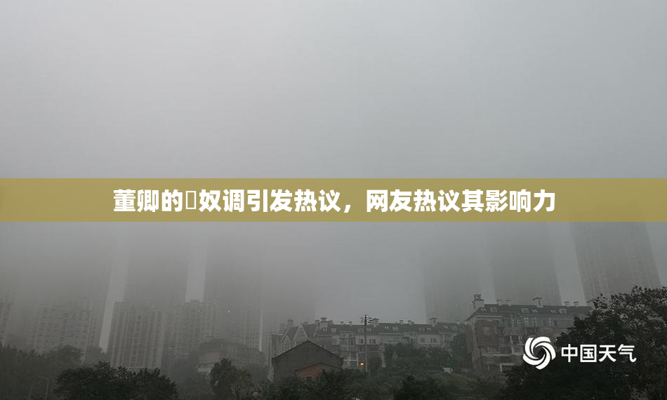 董卿的婬奴调引发热议，网友热议其影响力
