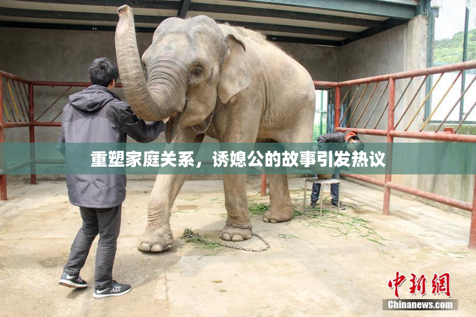 重塑家庭关系，诱媳公的故事引发热议