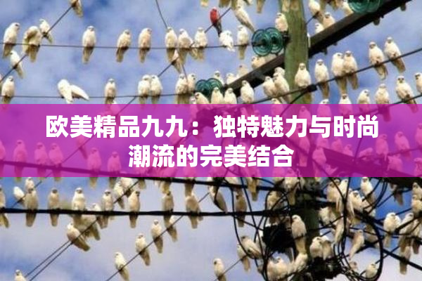 欧美精品九九：独特魅力与时尚潮流的完美结合