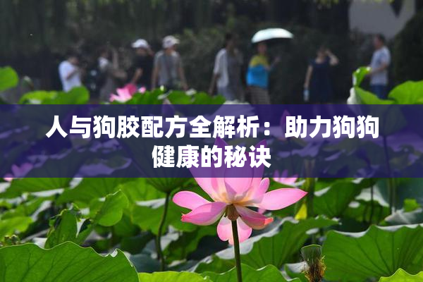 人与狗胶配方全解析：助力狗狗健康的秘诀