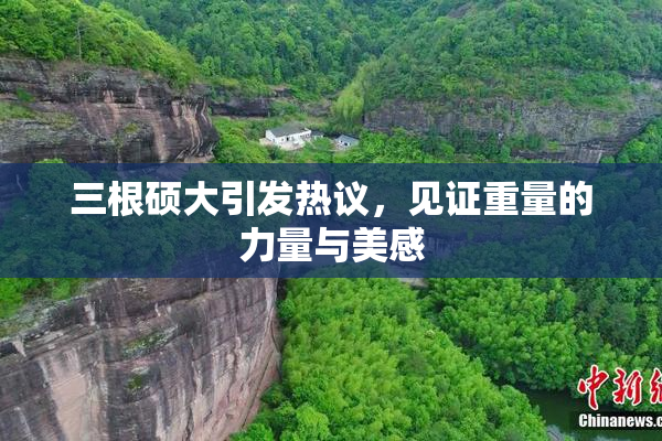 三根硕大引发热议，见证重量的力量与美感