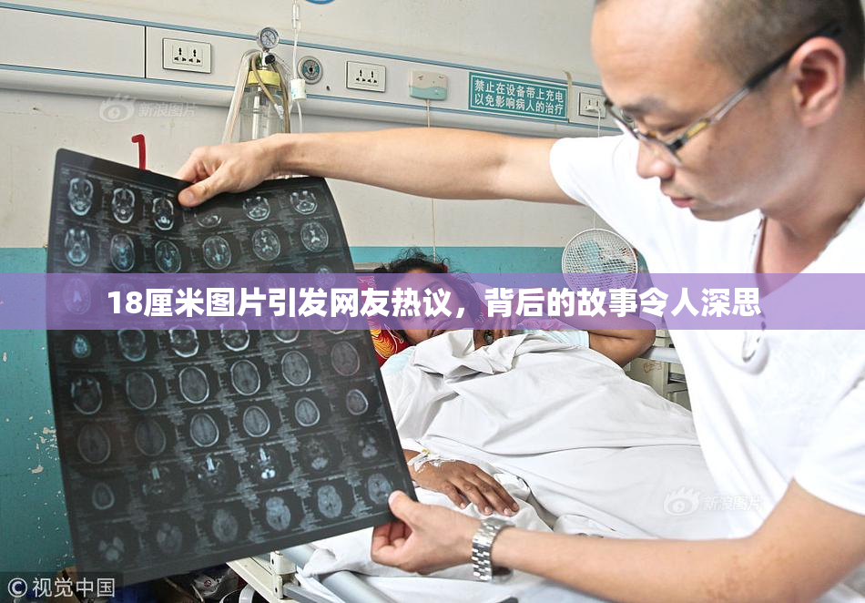 18厘米图片引发网友热议，背后的故事令人深思
