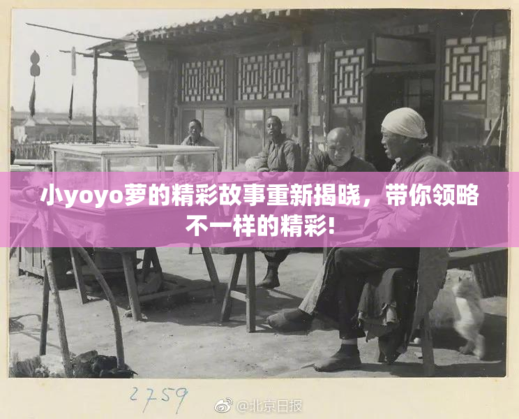 小yoyo萝的精彩故事重新揭晓，带你领略不一样的精彩!