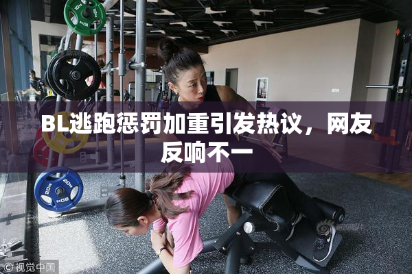 BL逃跑惩罚加重引发热议，网友反响不一