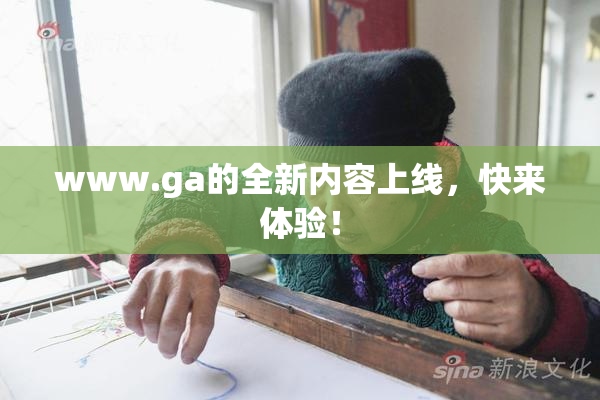 www.ga的全新内容上线，快来体验！