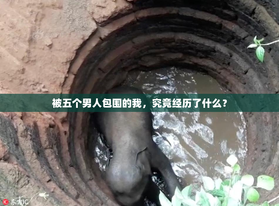 被五个男人包围的我，究竟经历了什么？