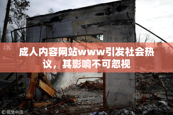 成人内容网站www引发社会热议，其影响不可忽视